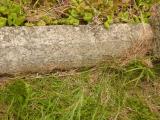 image of grave number 809010